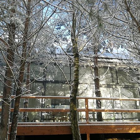 Luksusowy- Nowoczesny Dom W Lesie Villa Kowalewo ภายนอก รูปภาพ