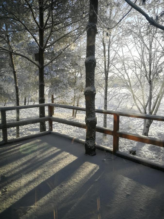 Luksusowy- Nowoczesny Dom W Lesie Villa Kowalewo ภายนอก รูปภาพ
