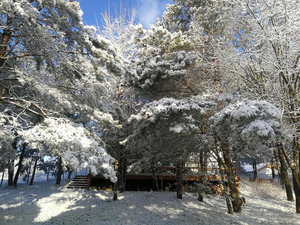 Luksusowy- Nowoczesny Dom W Lesie Villa Kowalewo ภายนอก รูปภาพ