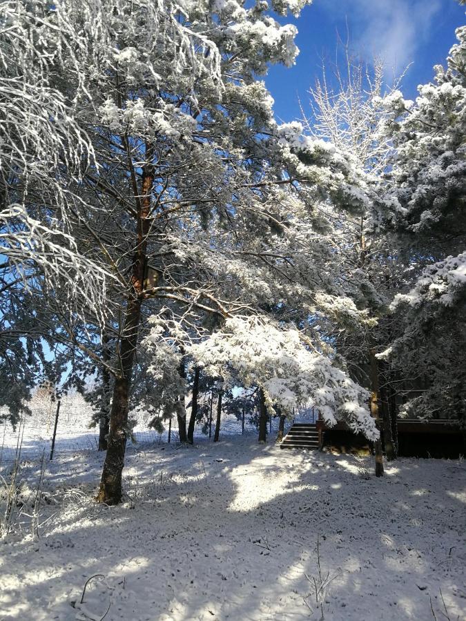 Luksusowy- Nowoczesny Dom W Lesie Villa Kowalewo ภายนอก รูปภาพ